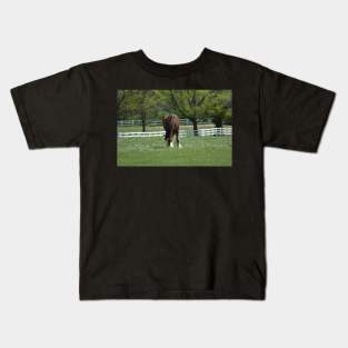 Clydesdale Kids T-Shirt